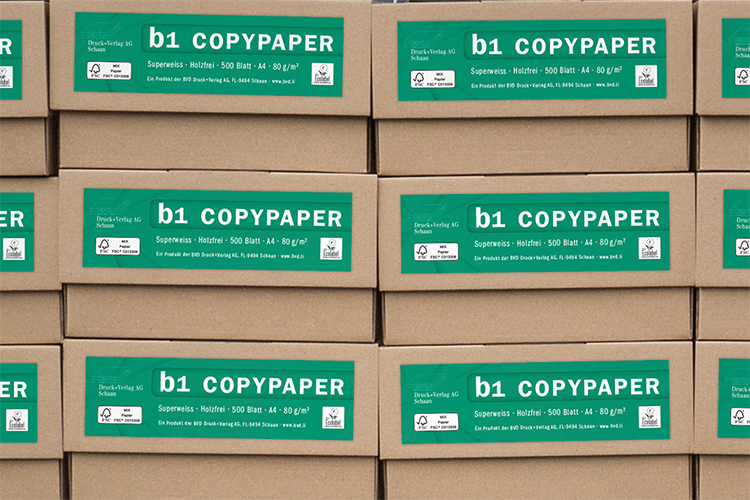 b1 COPYPAPER