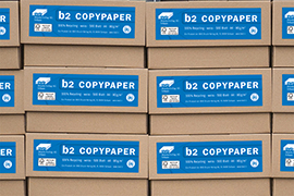 b2 COPYPAPER